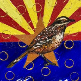 ARIZONA CACTUS WREN