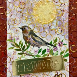 SPARROW AND TRUMP BANNER