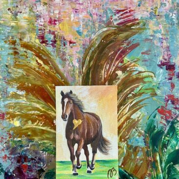 DARK TO LIGHT-COMFORT