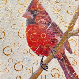 CARDINAL IN THE RAIN AND GLORY